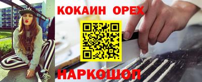 соль ск Сланцы
